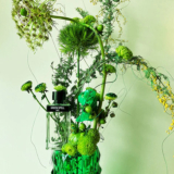 Exploring the Depths of Green Fragrances: A Journey Through Nature’s Essence