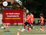 Know About Youth Soccer Academies and New York’s Sports Culture