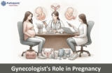 Understanding Your Gynecologist’s Role in Pregnancy