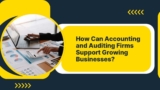 How Can Accounting and Auditing Firms Support Growing Businesses?