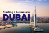 How Can Business Setup Consultants in Dubai Help You Grow Your Business?