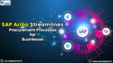 Best SAP Ariba Online Training | Visualpath