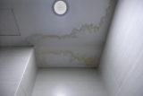 How To Remove Mold From Painted Ceiling?