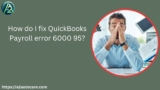 How do I fix QuickBooks Payroll error 6000 95?