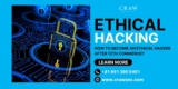 How to Become an Ethical Hacker After 12th Commerce?
