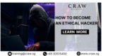 Becoming an Ethical Hacker in 2024: A Professional Pathway