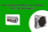 How to Clean and Reuse Your Carbon Filter for Hydroponics