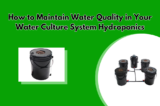 How to Maintain Water Quality in Your Water Culture System Hydroponics
