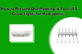 How to Prevent Overheating in Your LED Grow Lights for Hydroponics