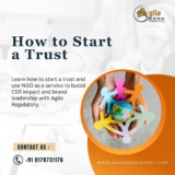 Safeguarding Your Family: Financial Planning for the Next Generation