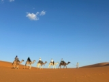 Discover Authentic Morocco with ‘Morocco with Locals’