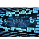 SEO Company Primelis: An Inclusive Guide