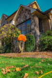 Effective Perimeter Pest Control in Fairfax County, VA: Protecting Your Home and Garden