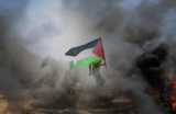 THE PALESTINE GENOCIDE