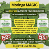 TAKING 2 Capsules a Day of MORINGA MAGIC FOR 2 MONTHS provides an impressive nutritional profile: