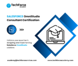 Become a Salesforce OmniStudio Expert: A Complete Guide to Certification and Mastery