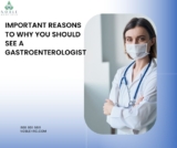 Important Reasons to Why You Should See a Gastroenterologist