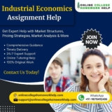 Smart Solutions for Smart Students – Industrial Economics Made Simple