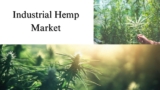 Industrial Hemp Market Size, Share, Trends and Growth Report Through 2032