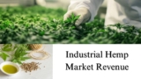 Industrial Hemp Market Revenue, Size, Share, Growth Trends Forecast to 2032