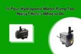 Is Your Hydroponic Water Pump Too Noisy? Here’s What to Do