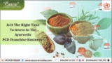 Is it the right time to invest in the Ayurvedic PCD franchise business?
