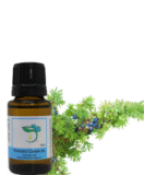 Discover the Benefits of Juniper Berry Essential Oil