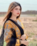 Discovering the Exciting World of Lahore Escorts