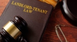 What are the common issues resolved by the Landlord and Tenant Board?