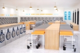 Fresh Solutions for Businesses: The Power of Commercial Laundry Services