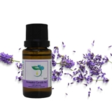 Top 5 Ways to Use Lavender Essential Oil Every Day