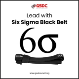 Lead with Six Sigma Black Belt 