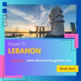 Visa Renewal and Extension: What You Need to Know