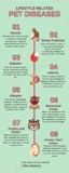 Lifestyle-Related Pet Diseases and the Role of a Delhi Veterinary