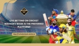 Live Betting on Cricket: Why Mahadev Book is the Preferred Platform