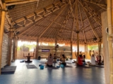 Lombok Yoga Retreats: Peaceful Escapes in Paradise