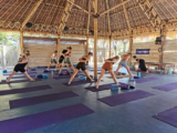Explore Lombok Yoga: A Journey to Wellness