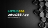 Lotus365 App: Your Gateway to Mobile Betting and Casino Fun
