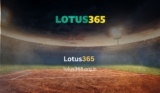 How to Get Started with the Lotus365 App for an Unmatched Gaming Experience