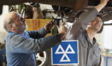 A Step-by-Step Guide to the Complete MOT Test Process