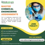 Level Up Your Chemical Engineering Knowledge:  Get Homework and Assignment Assistance