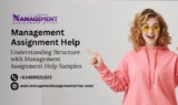 Understanding Structure with Management Assignment Help Samples