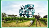 Mclaren Vale Wine Tours to Enjoy Your Pastimes