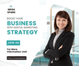 MEGA SPARK: Crafting Bright Futures in Digital Marketing