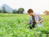 Why Is IoT Farming Technology Becoming More Popular?