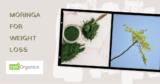 10 Culinary Methods to Use Moringa Powder in Pakistan