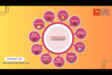Unlocking the Power of Oracle E-Business Suite: Top Features for Streamlining Business Operations in 2024