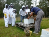 The Buzz About Bee Suits: Finding the Best Bee Suits in the UK