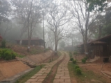 The Woods Valley Resorts at Maredumilli