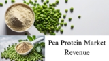 Pea Protein Market Revenue, Share, Size, Growth and Forecast Through 2032